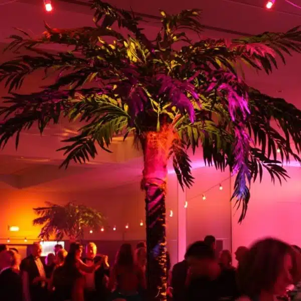 360cm Palm Tree