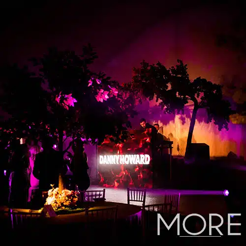 3.2m Canopy Bougainvillea Tree