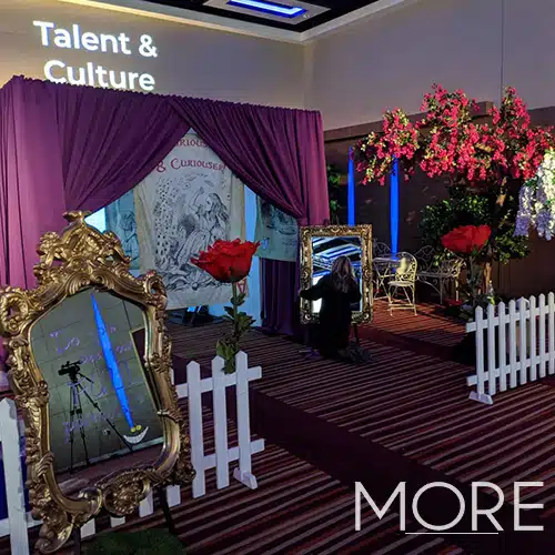 3.2m Canopy Bougainvillea Tree