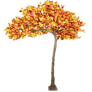 3.2m Canopy Autumn Tree