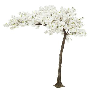 3.2m Canopy White Blossom Tree