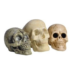 Assortment of Skulls