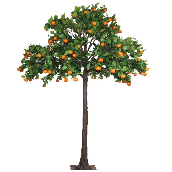 4m Orange Tree