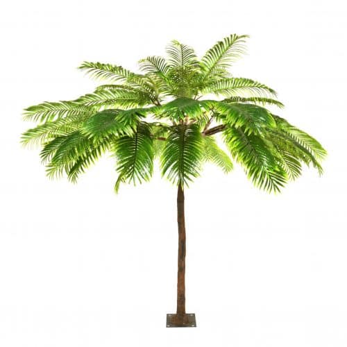 4m Palm Tree