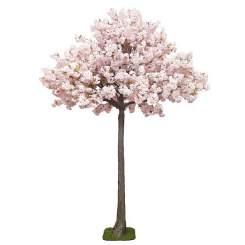 4m Pink Blossom Tree