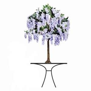 6ft Lilac Wisteria Tree