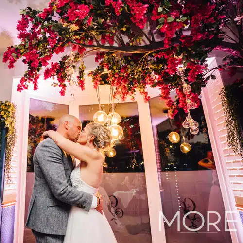 3.2m Canopy Bougainvillea Tree