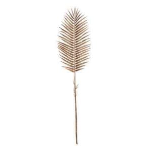 Bronze Palm Leaf Stem