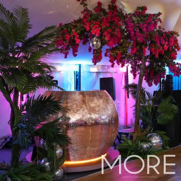 3.2m Canopy Bougainvillea Tree