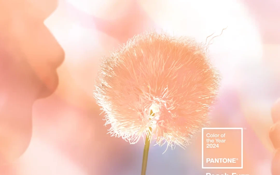 Pantone’s 2024 Colour of the Year