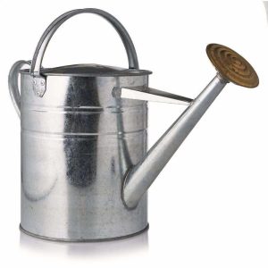 Galvanised Metal Watering Can