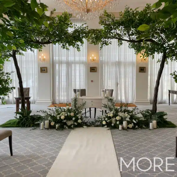 3.2m Canopy Ficus Tree