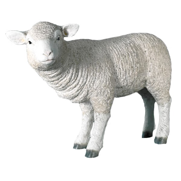 Sheep Small