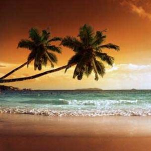 Tropical Sunset Beach Backdrop