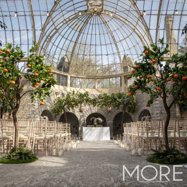 3.2m Canopy Orange Tree