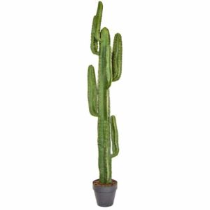 Artificial Cactus