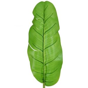 Banana Leaf Large