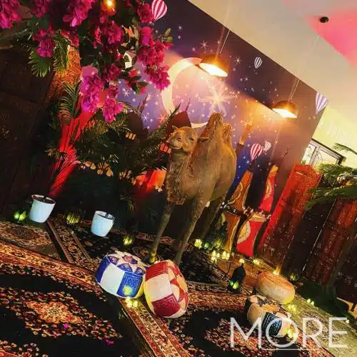 3.2m Canopy Bougainvillea Tree