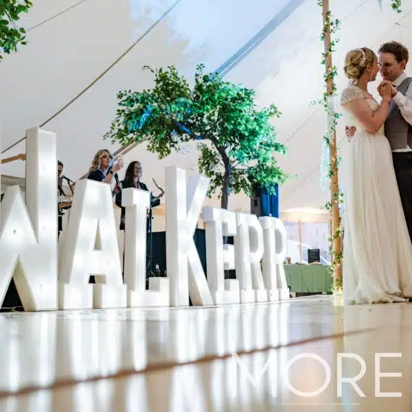 3.2m Canopy Ficus Tree