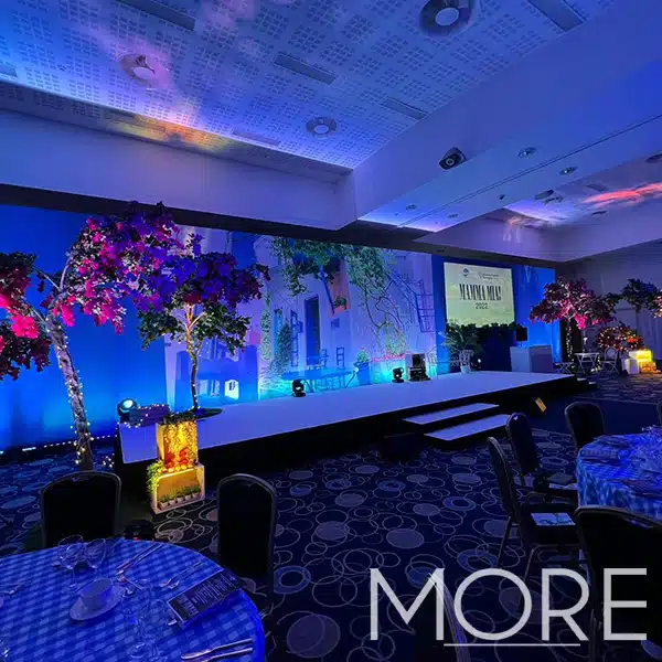 3.2m Canopy Bougainvillea Tree