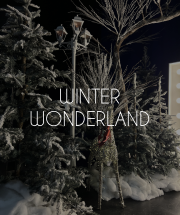 Winter Wonderland event theme prop hire